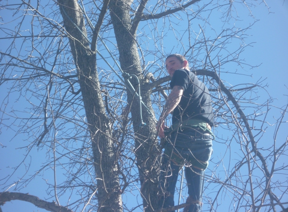 J J Tree Service & Hauling - Conway, AR