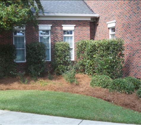Professional Lawn Care & Pressure Washing Services - Lexington, SC