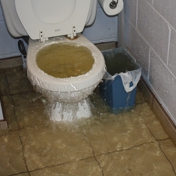 Gallery Image Number 7