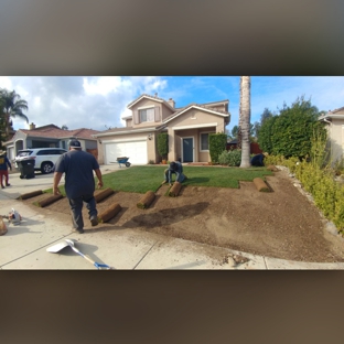 Luis Tree Service & Lawn Maintenance - Corona, CA