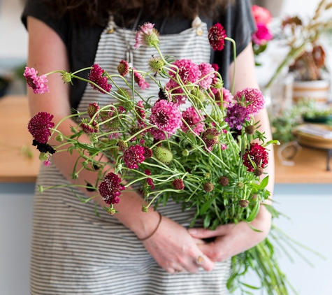 Flowerkraut - Hudson, NY