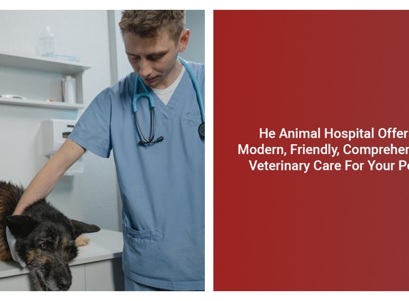 The Animal Hospital - Kalgoorlie, WA. He Animal Hospital Offers Modern, Friendly, Comprehensive Veterinary Care For Your Pets