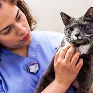 El Paso Animal Emergency & Veterinary Specialty Center - El Paso, TX