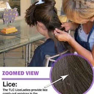 Knoxville Lice Removal Services-Specialized Hair Care - Knoxville, TN