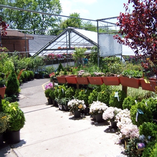 Treeland Garden Center & Nursery - Bridgeport, CT