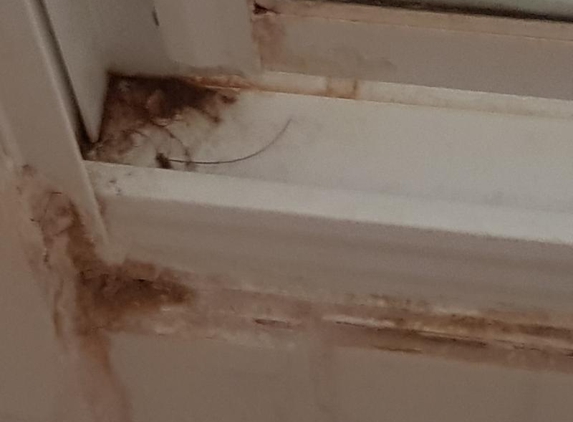 Walgett Motel - Walgett, NSW. Bathroom obviously not cleaned for weeks