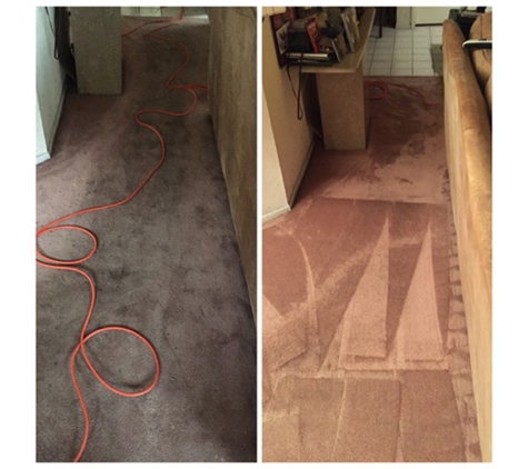 Chem Dry Carpet Tech - Northridge, CA. Before and After: Carpet Cleaning.