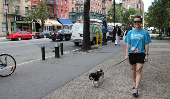 Swifto -GPS tracked Dog Walking - New York, NY