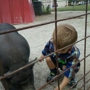 Green Meadows Petting Farm