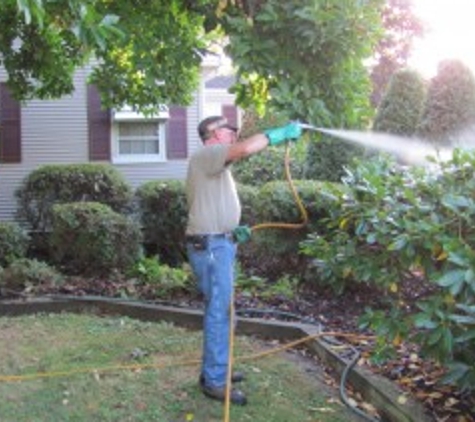 Evergreen Tree Service