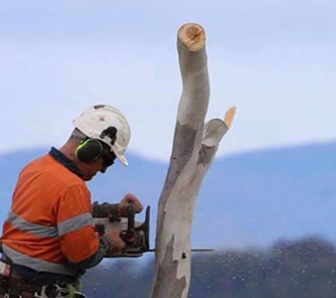 Horizon Tree Service - Brighton, TAS