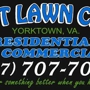 Best lawn care