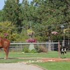 Bridle Path Quarter Horses Inc