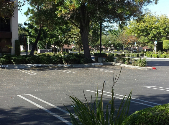 Sun George MD - Arcadia, CA. Plenty of parking spaces