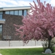 Bannock County Historical Museum
