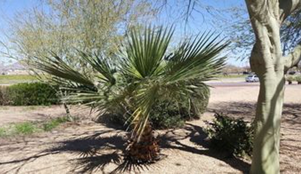 Hyatt Place Tempe/Phoenix Airport - Tempe, AZ