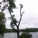 Jake's Top Notch Tree Svc - Arborists