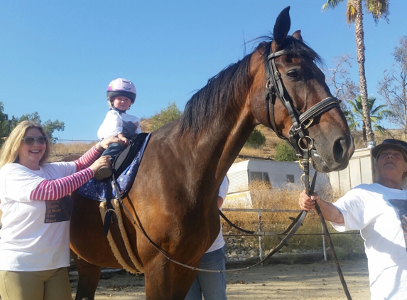 The Healing Equine - Castaic, CA