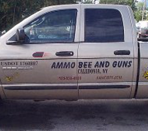 AMMO BEE & GUNS - Caledonia, NY