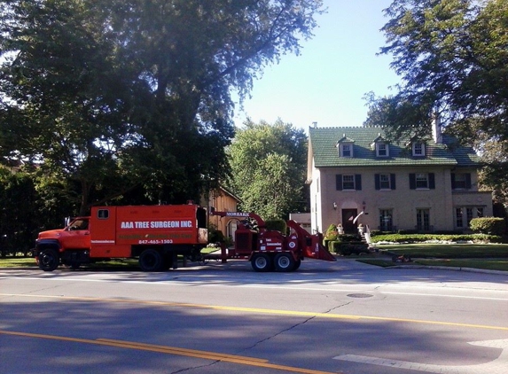 AAA Tree Surgeon Inc - Wheeling, IL