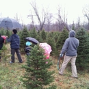 Lantier Tree Farm - Christmas Trees