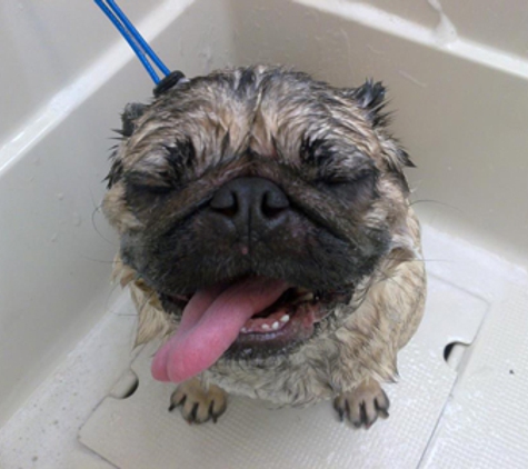 Man's Best Friend Dog Grooming - Strathfieldsaye, VIC