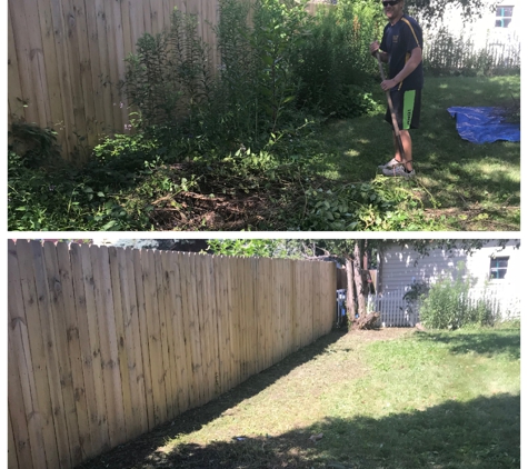 Clean it up! Property Services - Lambertville, MI. fence line cleanup
