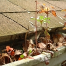 Great Lakes Gutter Cleaning - Gutters & Downspouts Cleaning