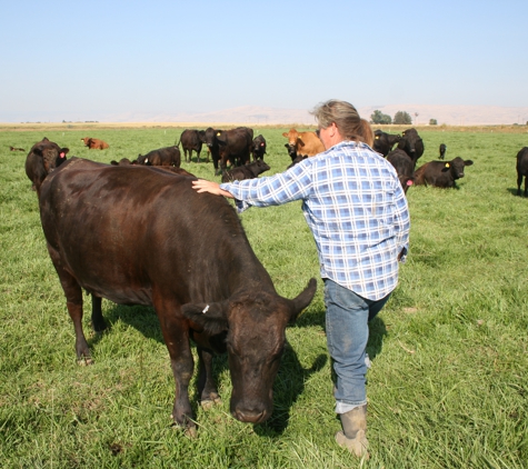 Holy Cow Grass Fed Beef - Wapato, WA