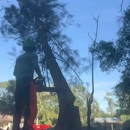 Roots To Shoots, LLC - Tree Service