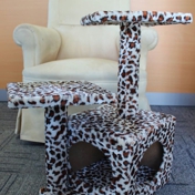 Gallery Image Number 6