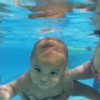 Goldfish Swim School - Pembroke Pines gallery