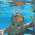 Goldfish Swim School - Pembroke Pines