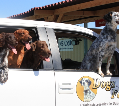 Dogs of the Feather - Fairfield, CA