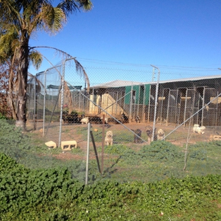 Peak Hill Boarding Kennels - Parkes, NSW