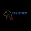 Stafford Veterinary Hospital Manahawkin gallery