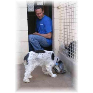 Petherton Park Kennels - Macdonald Park, SA
