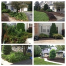 Fish and Son Services - Landscape Designers & Consultants