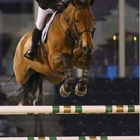 Covington Equestrian Center