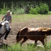 Colorado Trails Ranch gallery