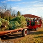 Pioneer Trails Tree Farm