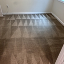 Hippo Cleaning Services - Carpet & Rug Cleaners