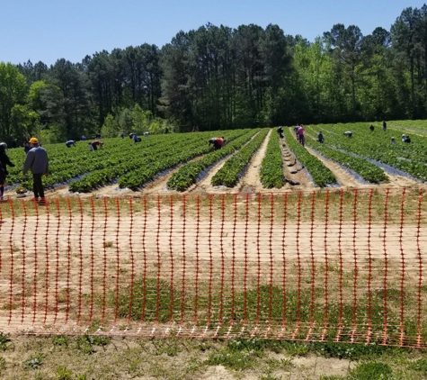 Hall Family Farm - Charlotte, NC