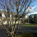 Feynman School - Schools