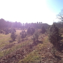 Tonry Tree Farm - Christmas Trees