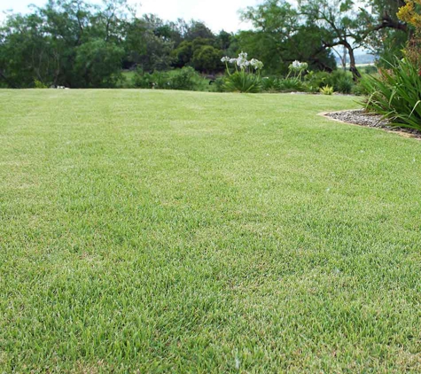 Great Northern Turf - Gumlow, QLD