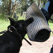 Gallery Image Number 3