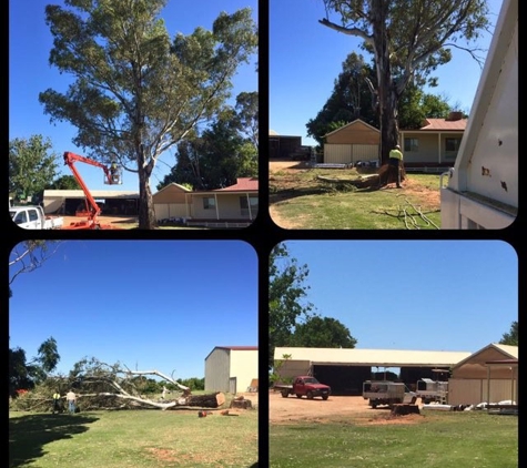Mildura Tree Services - Mildura, VIC