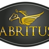 Abritus Transportation gallery