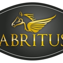 Abritus Transportation - Limousine Service